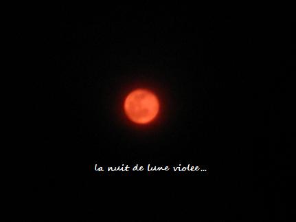 c0098807_1474225.jpg
