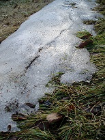 b0200310_7554444.jpg