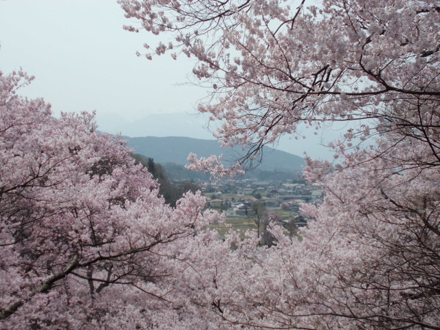 b0183111_2273592.jpg