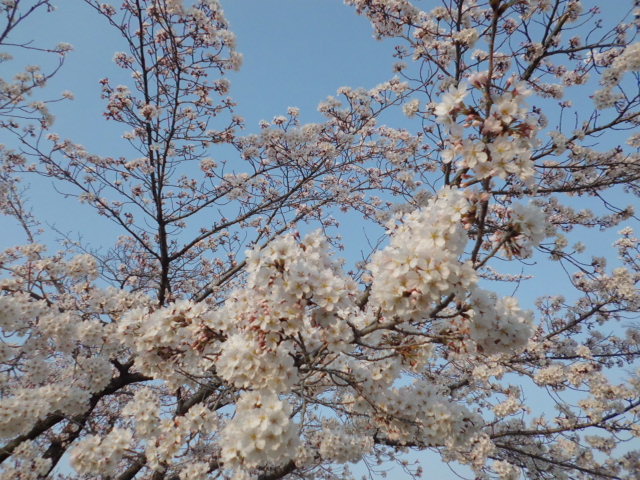 b0183111_7434644.jpg