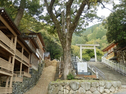b0099813_0225055.jpg