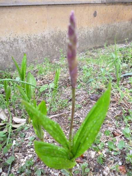 f0228619_2121361.jpg