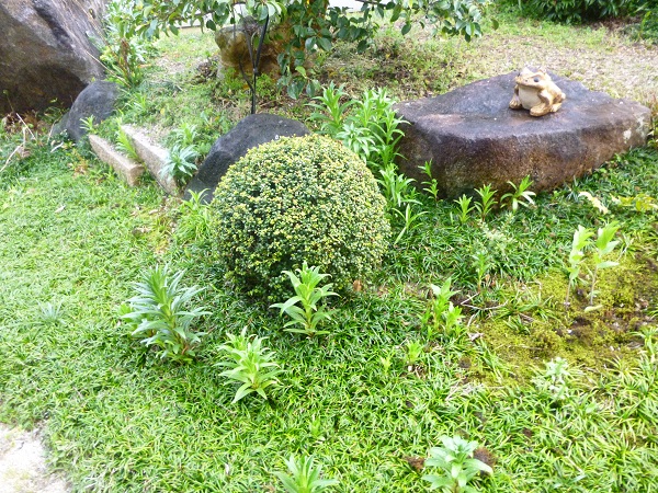 f0228619_2125250.jpg