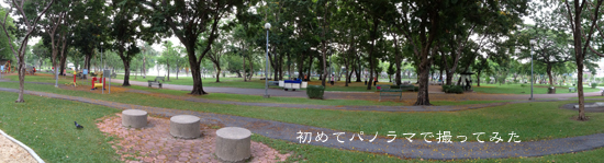 d0042827_14341499.jpg