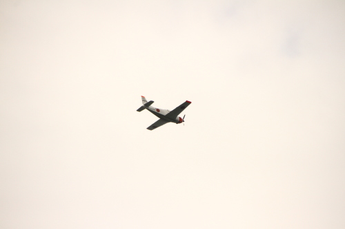 d0158028_17010813.jpg