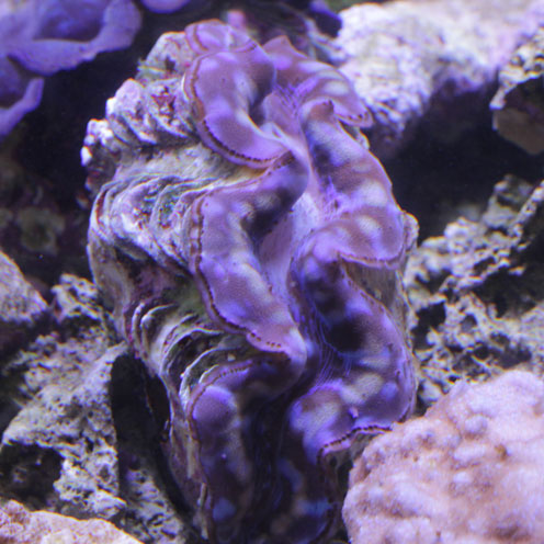 d0221436_23142496.jpg