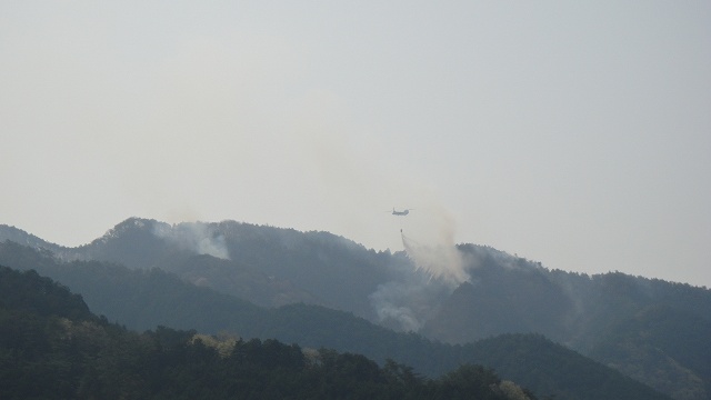 f0208737_10132020.jpg