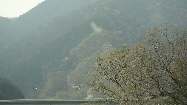 f0208737_1055075.jpg