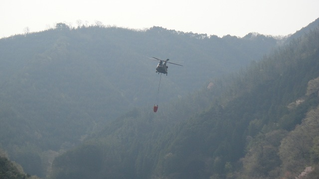 f0208737_1073390.jpg