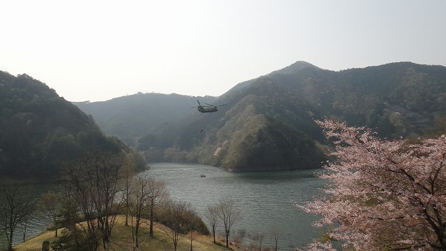 f0208737_1074339.jpg