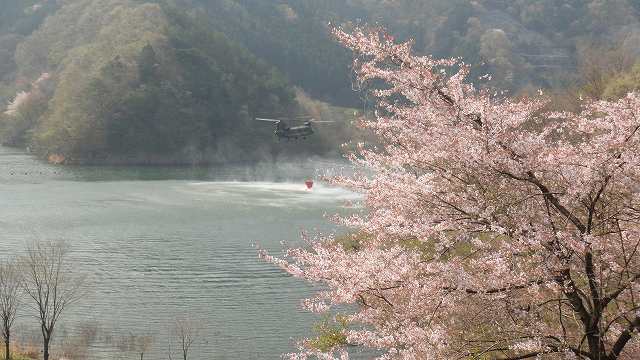 f0208737_1075394.jpg