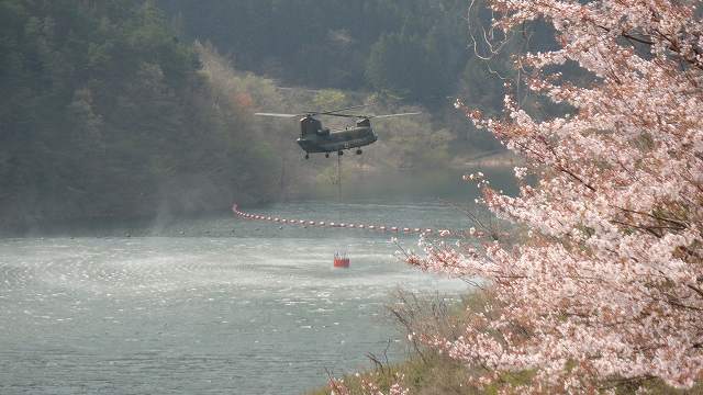f0208737_1081575.jpg