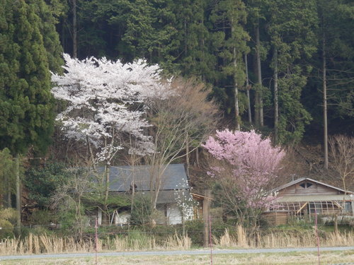 a0279738_2115506.jpg