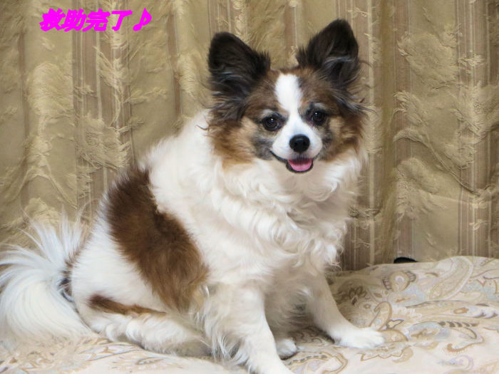 a0149240_09570872.jpg