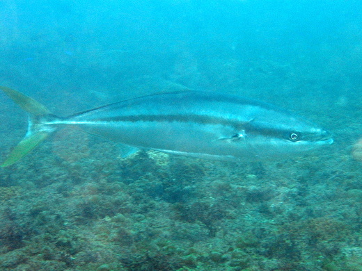 b0236647_12582176.jpg