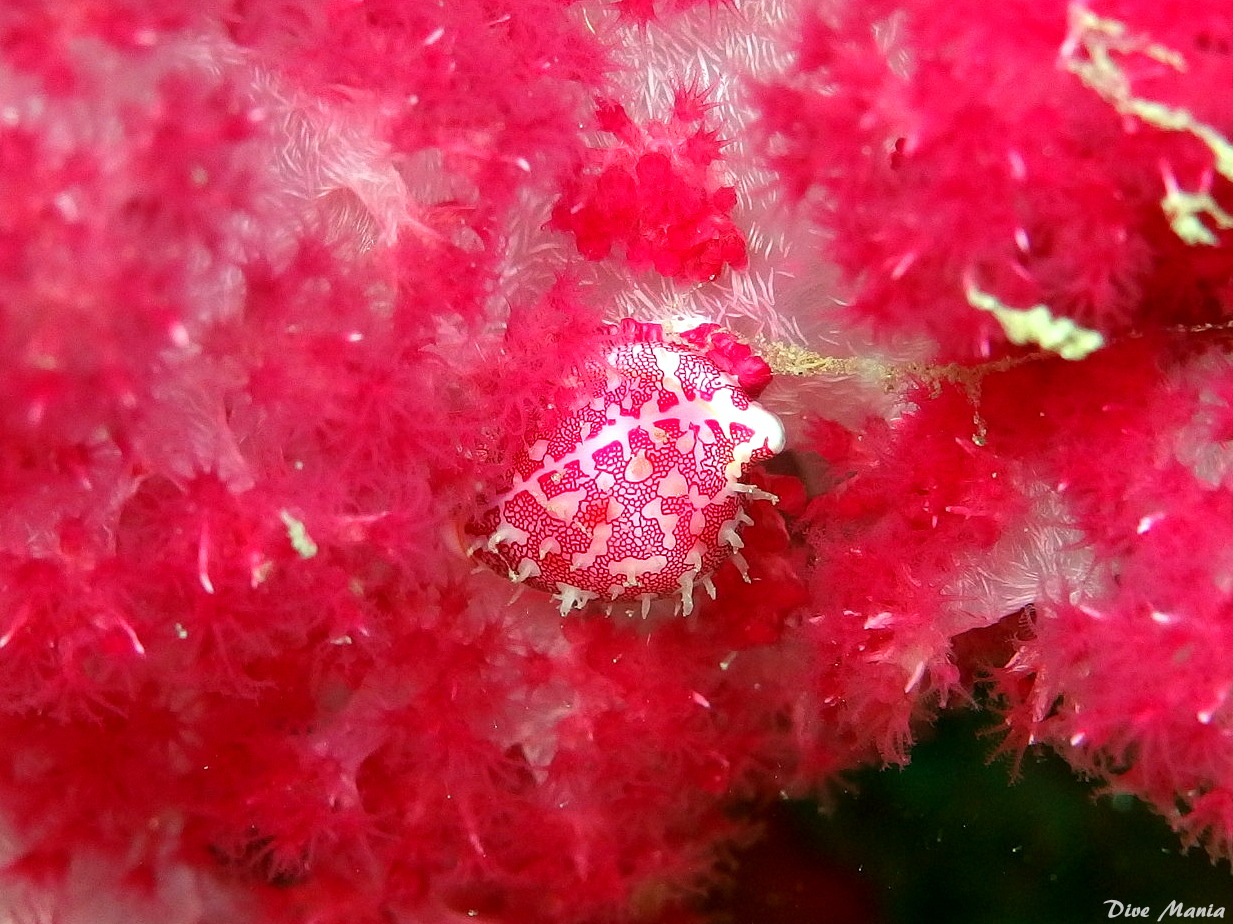 b0236647_13173897.jpg