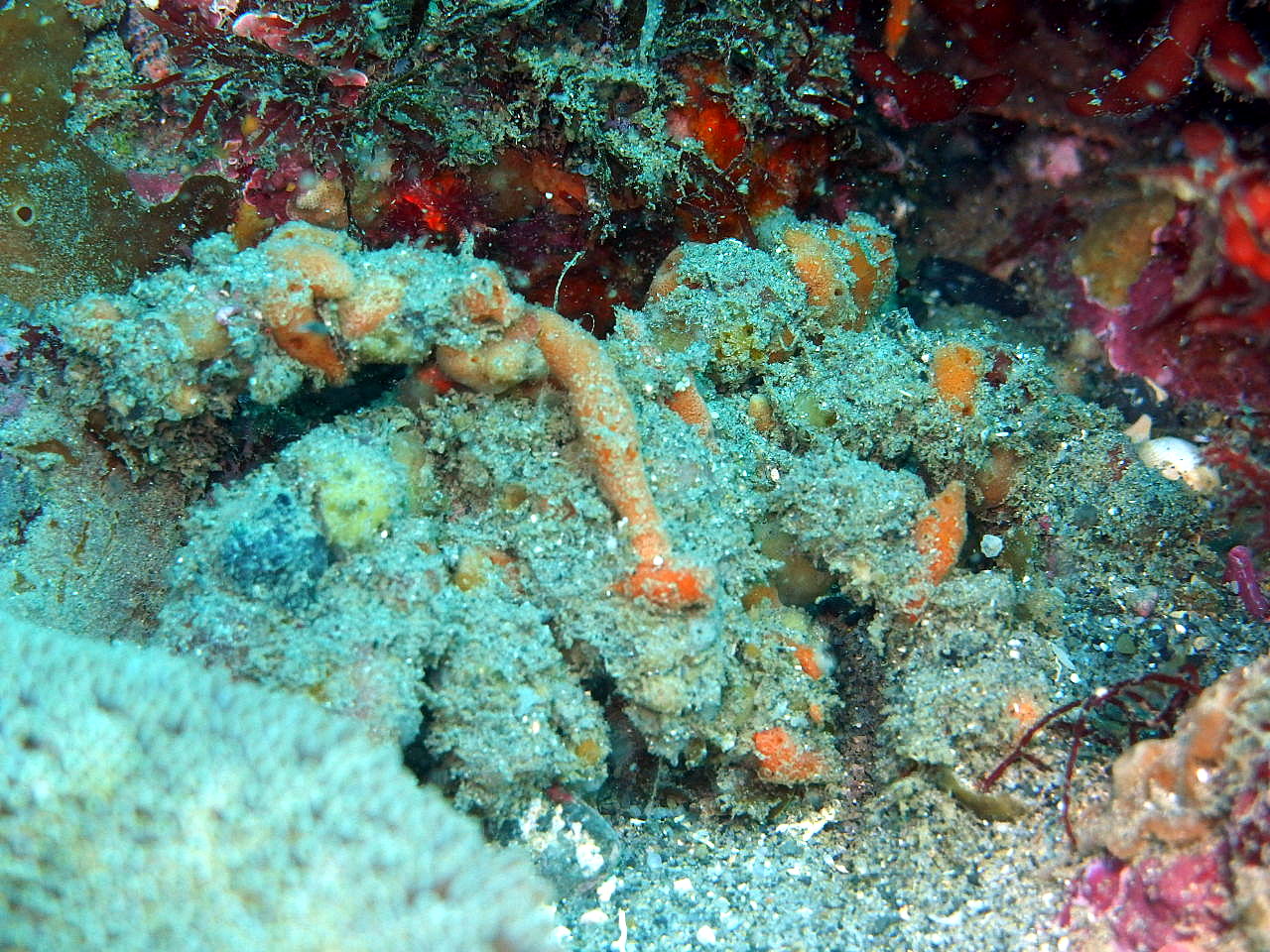 b0236647_13323141.jpg