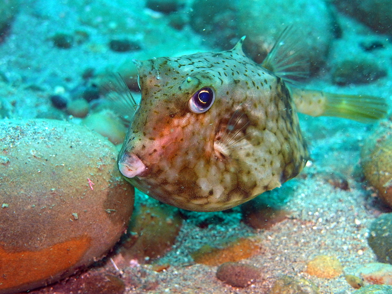 b0236647_1345799.jpg