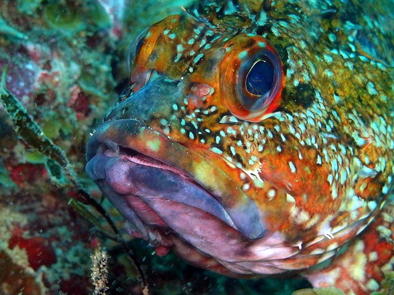 b0236647_1361123.jpg