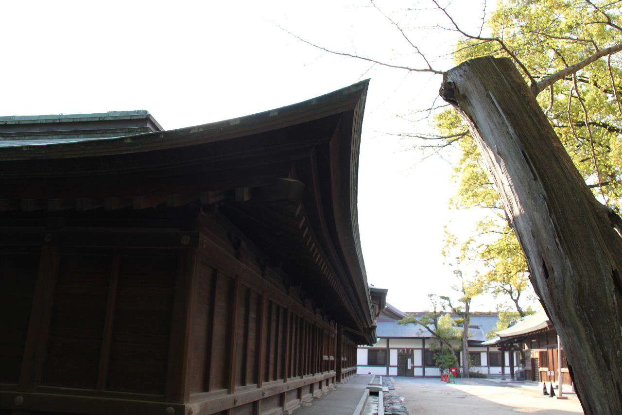 c0011649_11135127.jpg