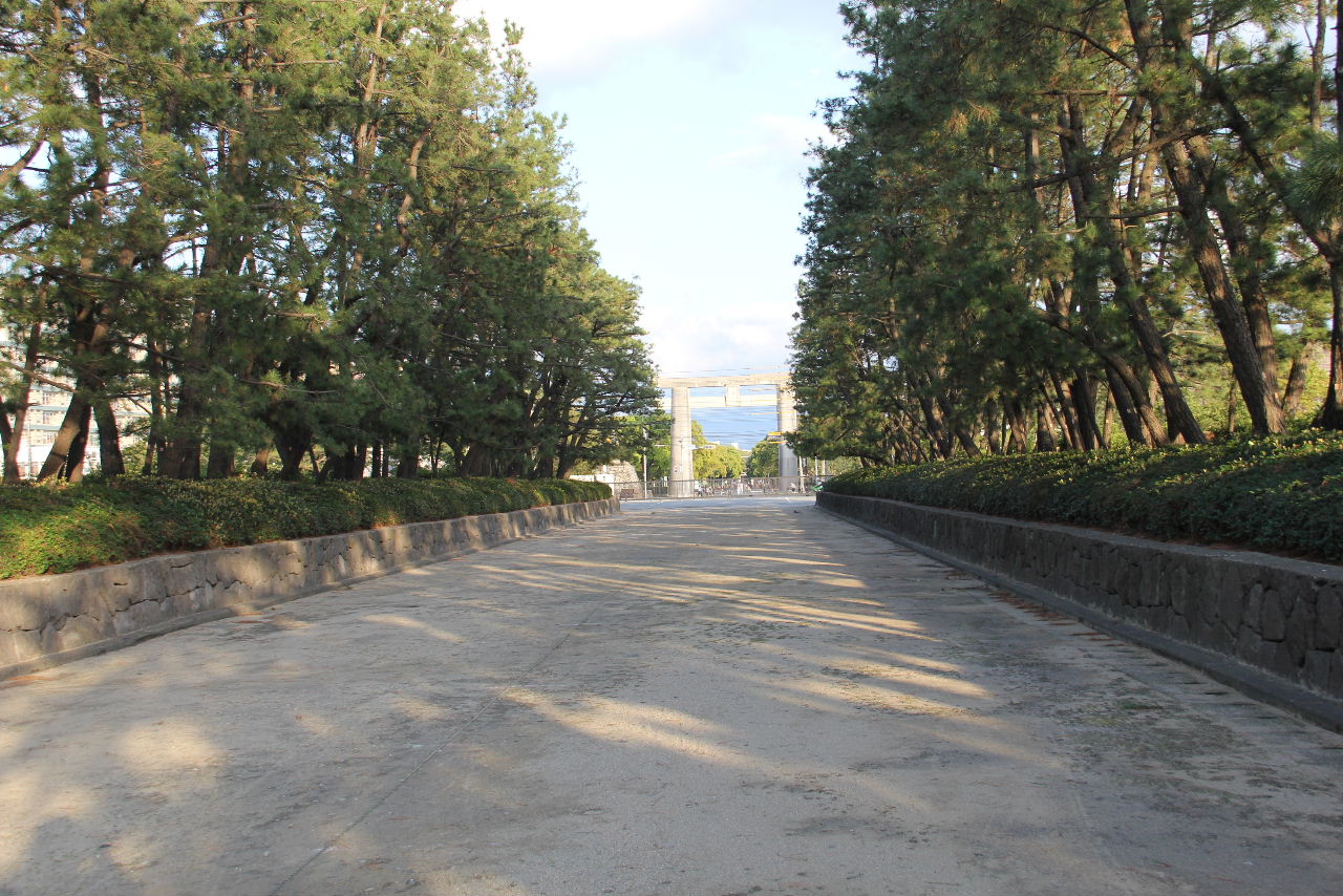 c0011649_15405981.jpg