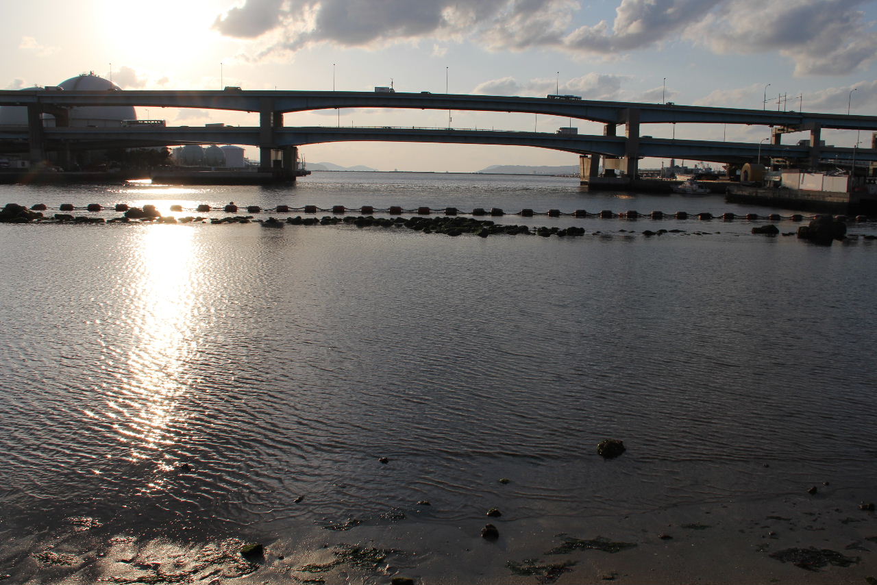 c0011649_15485841.jpg