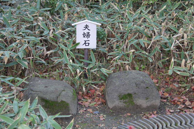 c0011649_952022.jpg