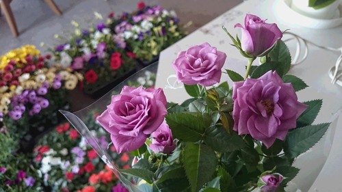 e0150849_20274761.jpg