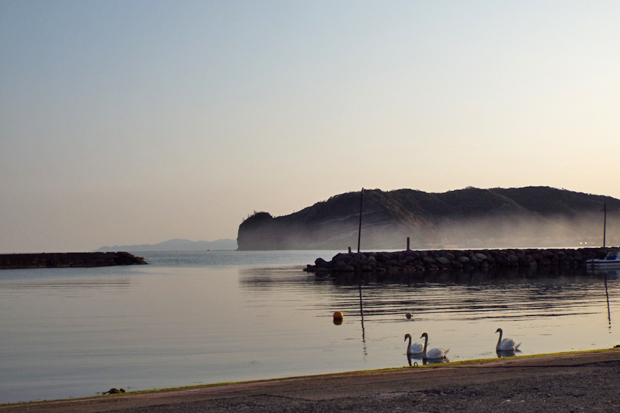 f0214649_432430.jpg