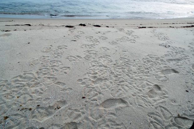 f0214649_514827.jpg