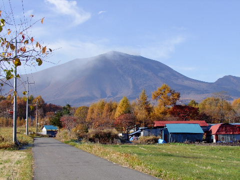 e0088260_2242311.jpg