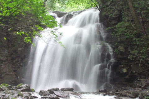 e0088260_2252249.jpg