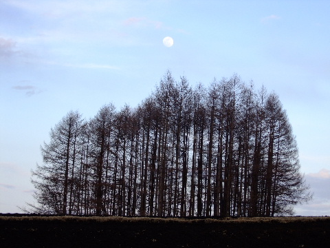 e0088260_2271891.jpg