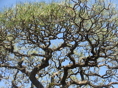 f0113862_10414880.jpg