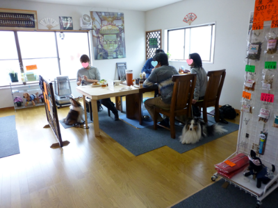 a0157174_16365585.png