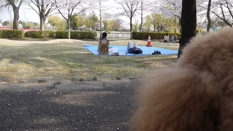 c0283778_17352638.jpg
