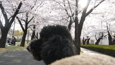 c0283778_173551.jpg