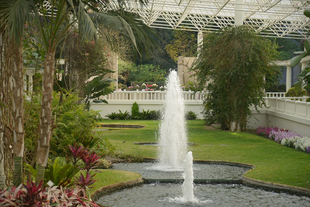 c0240388_17553548.jpg