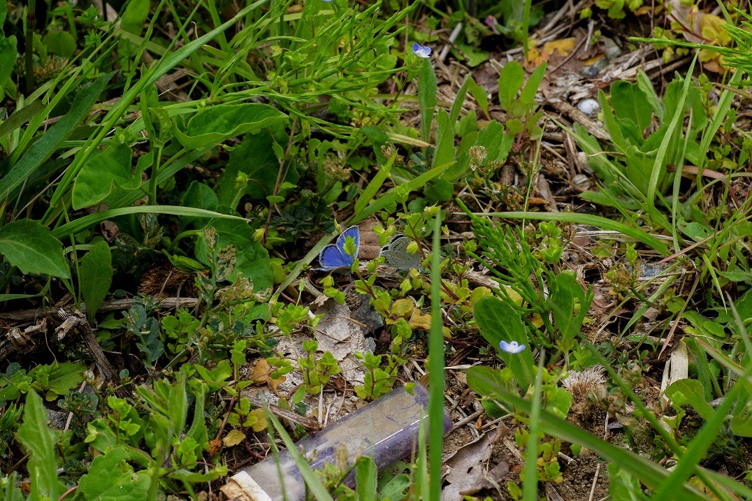 b0194593_22473638.jpg