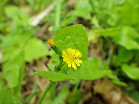 a0125598_21504528.jpg