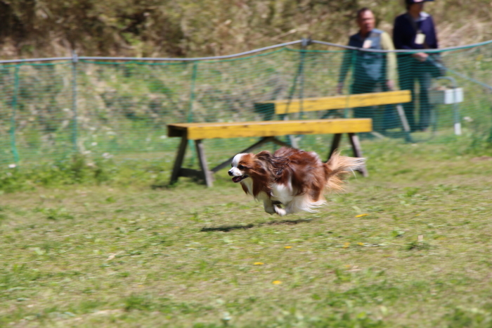 c0044199_2148256.jpg