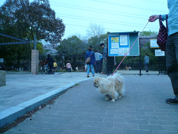 f0301306_12523892.jpg