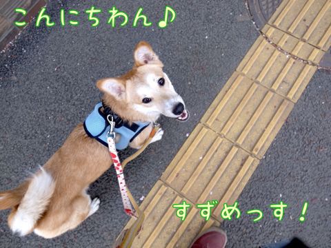 f0329311_140544.jpg