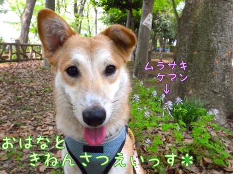 f0329311_140645.jpg