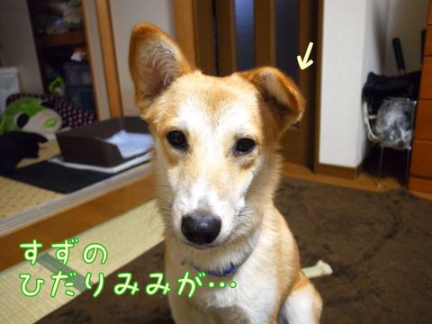 f0329311_140797.jpg