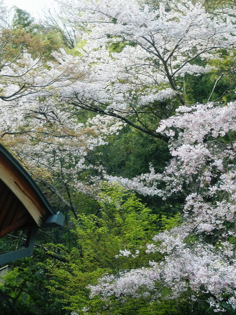 c0118715_12291639.jpg