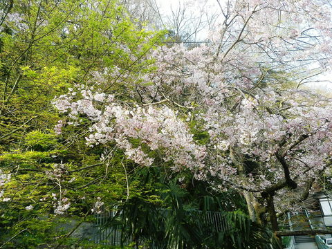 c0118715_1230363.jpg