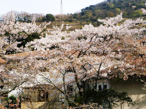 c0118715_1231293.jpg