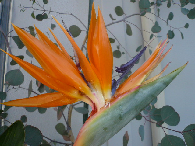 e0026017_13194892.jpg