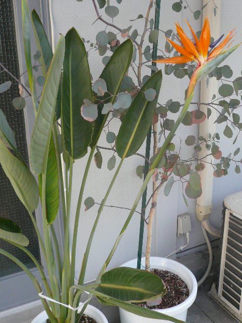 e0026017_132094.jpg